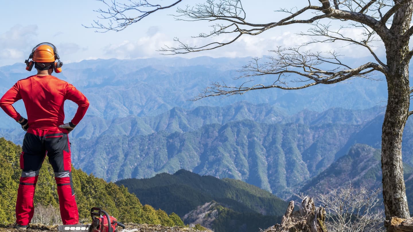 林業従事者の地域派遣