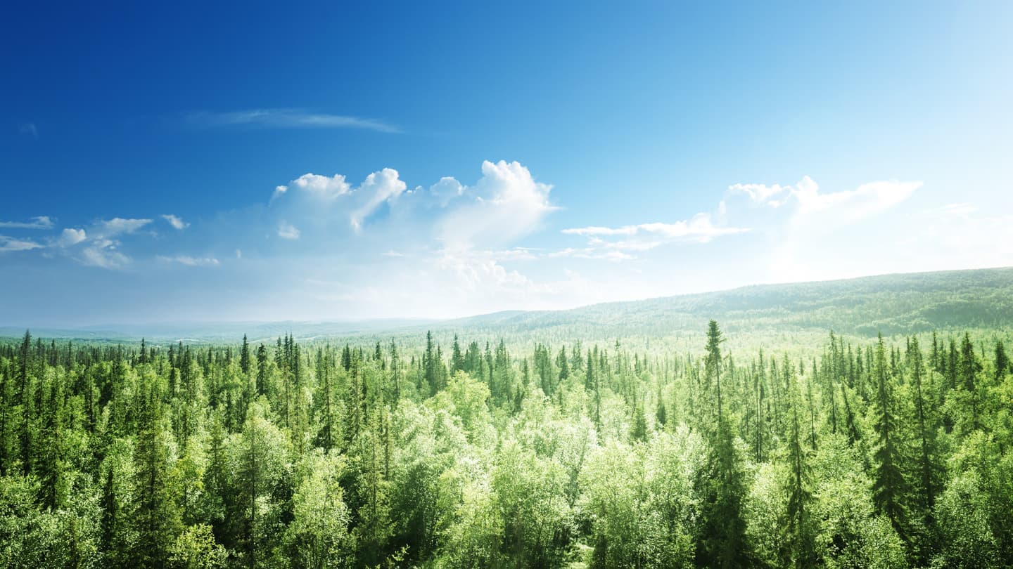 協会設立にあたって