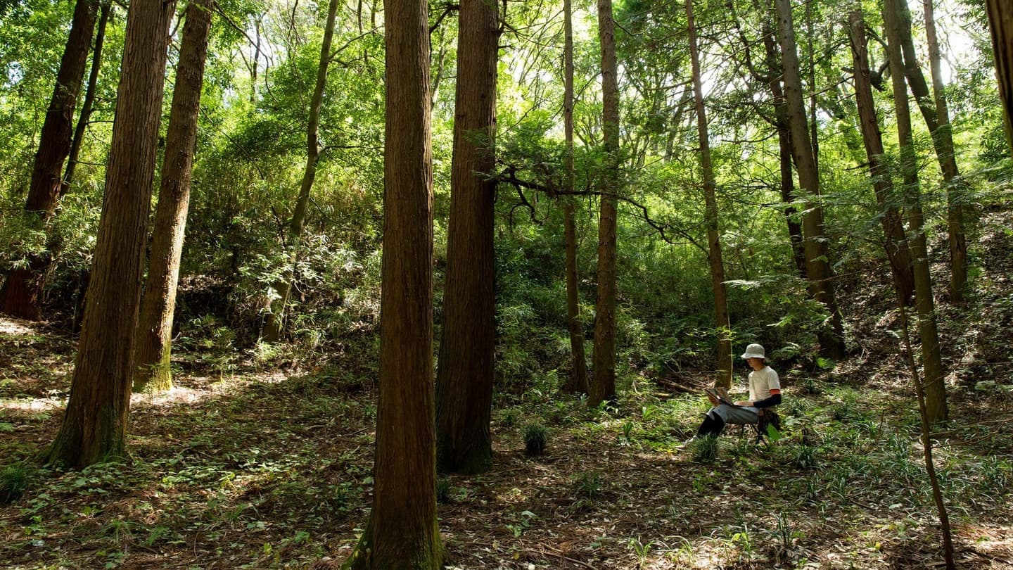 早生樹選定実証実験