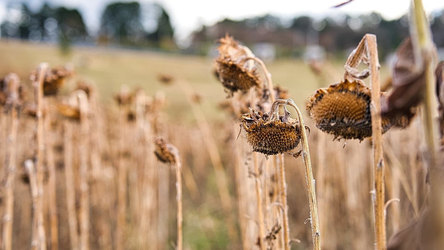 林業従事者の育成・雇用創出